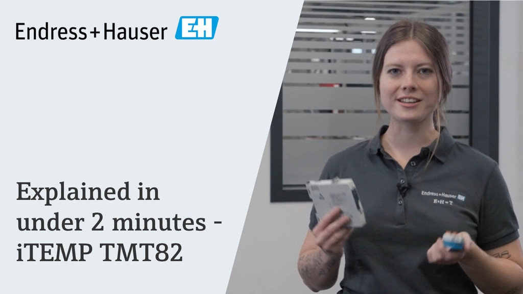 印象のデザイン iTEMP TMT82 Endress+Hauser | transmitter temperature 7 HART® その他